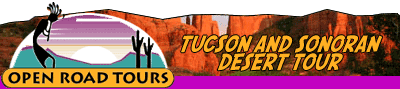 Tucson and Sonoran Desert Tour