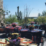Lunch at the Museum