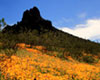 The Best of Tucson