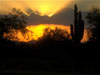 Phoenix Valley Highlights Tour