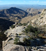 View of Tucson