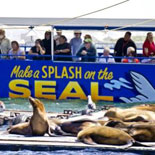 San Diego Seals passing Sea Lions