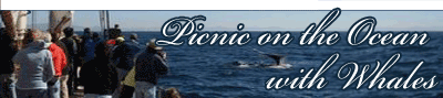 Picnic on the Ocean with Whales