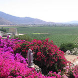 Winery