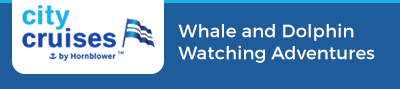 San Diego Whale Watching Cruise