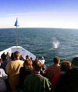 An awesome sight from the the yacht's deck