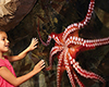 LEGOLAND California and SEA LIFE Aquarium Combo