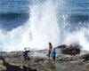 Coastal La Jolla & Torrey Pines Sightseeing Tour