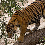 Home to 100s of Animals