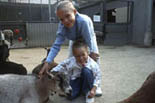 Children's Zoo