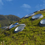 The Living Roof