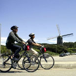 Crissy Field
