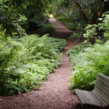 Trails in the Golden Gate Park