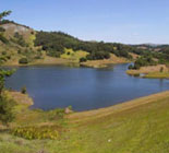 Mount Tamalpais