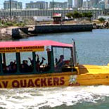 Cruising San Francisco Bay