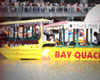 San Francisco Duck Tours