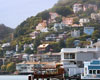 San Francisco Deluxe City Tour with Muir Woods and Sausalito