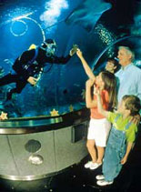 Aquarium of the Bay