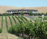 Wine Country Tour