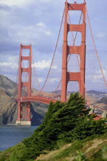 Cruise under the Golden Gate Bridge
