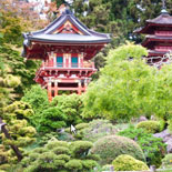 Explore Golden Gate Park