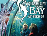 Aquarium of the Bay at PIER 39