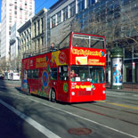 Double Decker Sightseeing