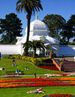 The Conservatory of Flowers
