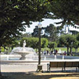 Golden Gate Park