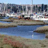 Come to Sausalito!