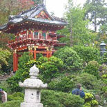 Japanese Tea Garden
