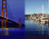Muir Woods/City Tour Combo