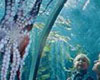 Wax Museum at Fisherman's Wharf with Aquarium of the Bay