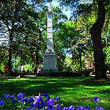 Savannah Square