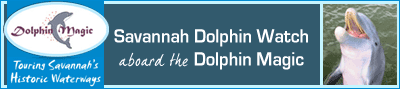 Savannah Dolphin Watch aboard the Dolphin Magic