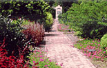 The Garden
