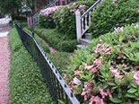 Private gardens in Savannah