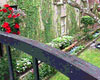 Come see what lies behind the gates of some of Savannah's finest homes. The Gates and Gardens Walk is a unique tour that lets you explore the fauna of this lush and green forest city.