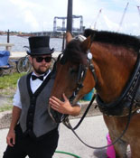 St Augustine Carriage Ride Tour