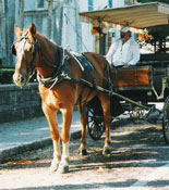 Learn the History of St Augustine