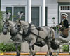 St. Augustine Carriage Tours