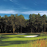 The Beautiful Courses of Golf
