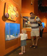 Come 'see' the 'Sea Dragon' exhibit