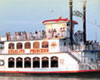 StarLite Princess Luncheon Sightseeing Cruise