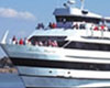 Majesty Luncheon Sightseeing Cruise