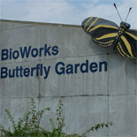 BioWorks Butterfly Garden