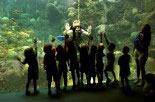 Florida Aquarium Dive Presentation