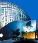 Florida Aquarium