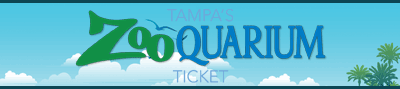 Tampa Bay's Triplet Attraction Package