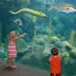 Beautiful Exhibits